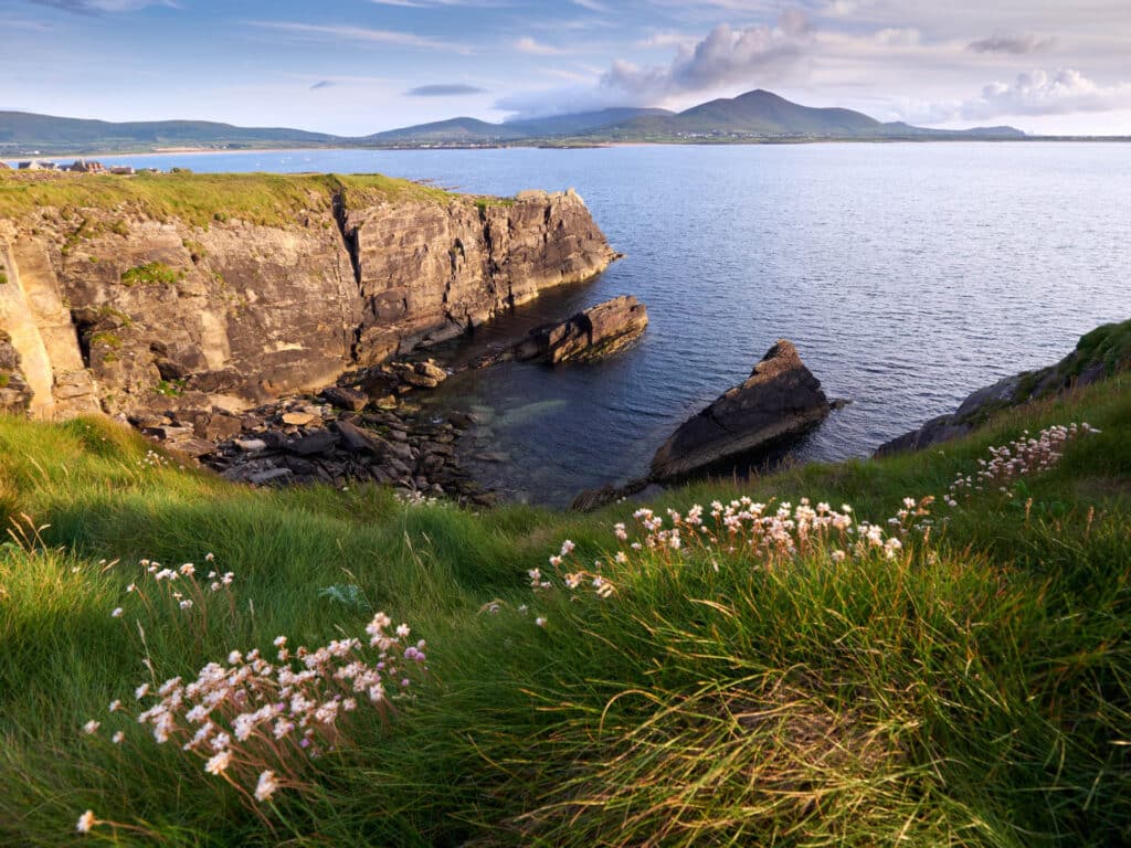 Coastline of the Dingle peninsula, Western Ireland, on a sunny evening