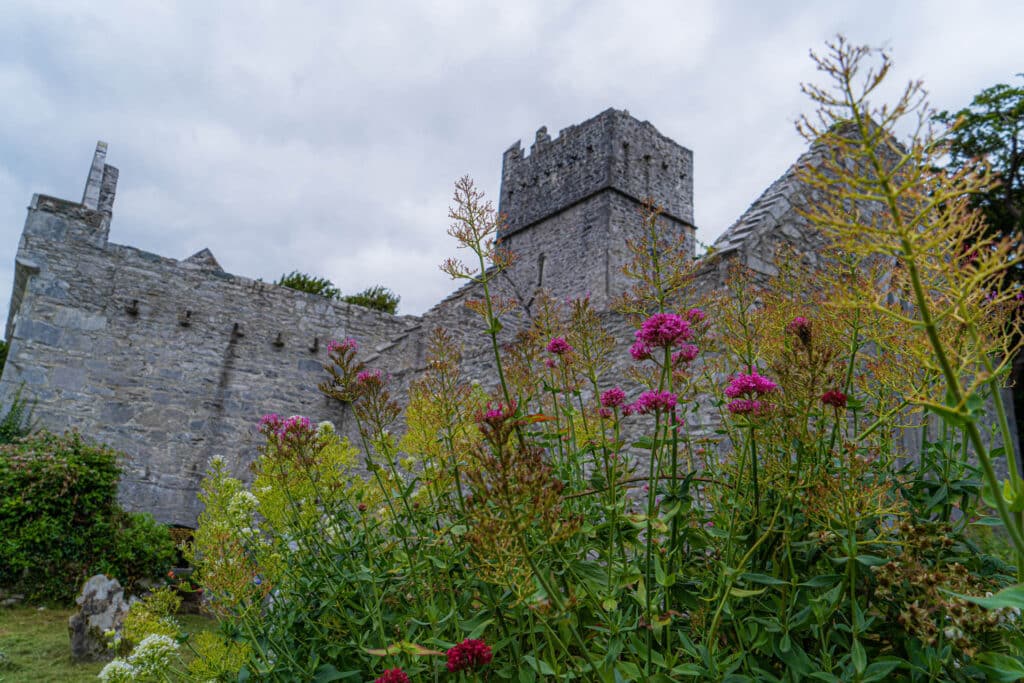 Killarney Muckross Abbey. Founded for the Observatine Franciscans about 1448. one of the major ecclesiastical sites, found in the Kound in the Killarney National Park, County Kerry, Ireland.